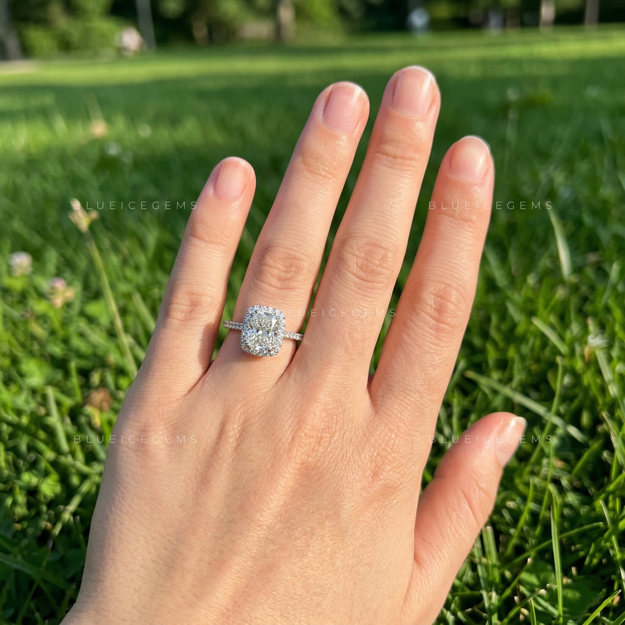 Velvet Radiance Cushion Cut Pavé Engagement Ring