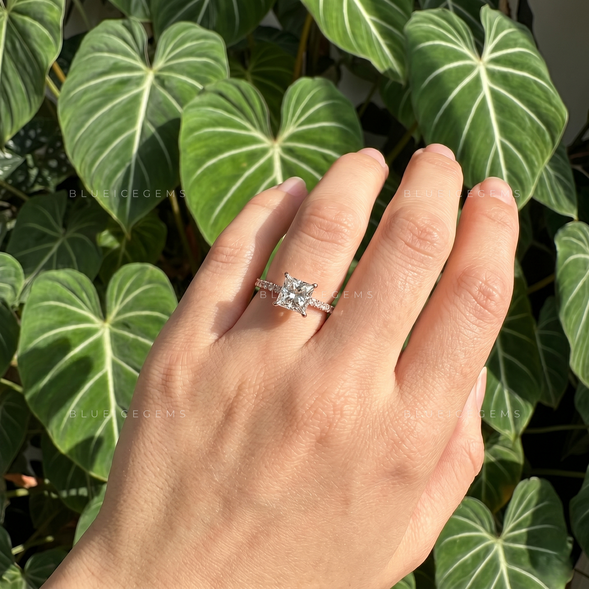 Regal Splendor Princess Cut Pave Engagement Ring