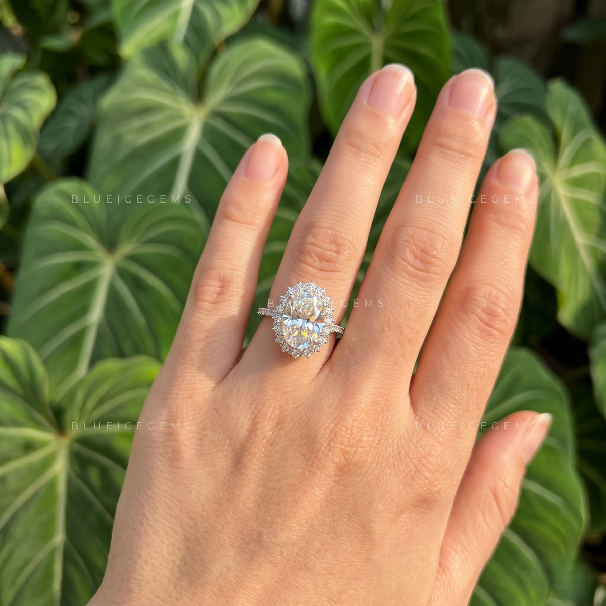 Eternal Halo Oval Cut Pavé Engagement Ring