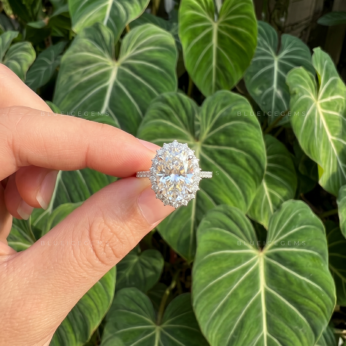 Eternal Halo Oval Cut Pavé Engagement Ring