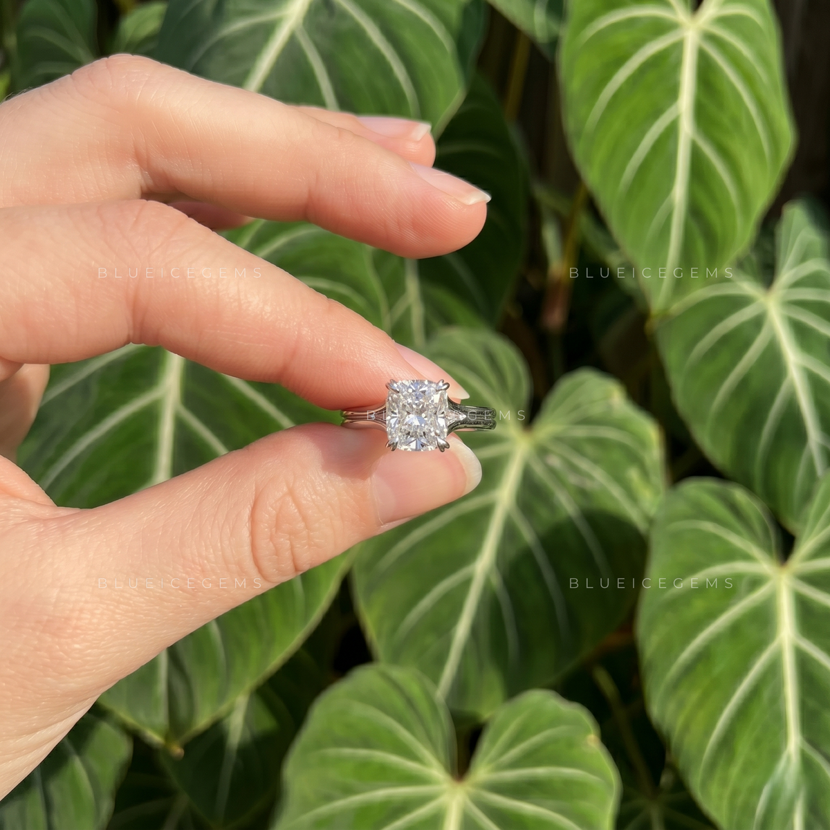 Velvet Radiance Cushion Cut Split Shank Trellis Engagement Ring