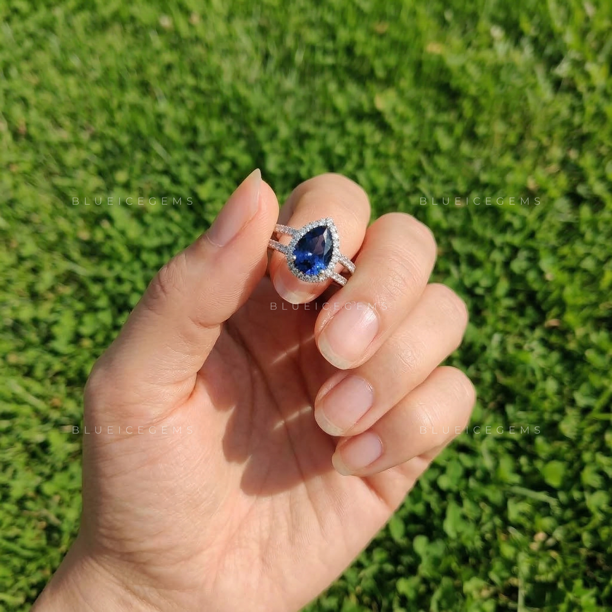 Royal Midnight Pear Sapphire Double Row Halo Ring
