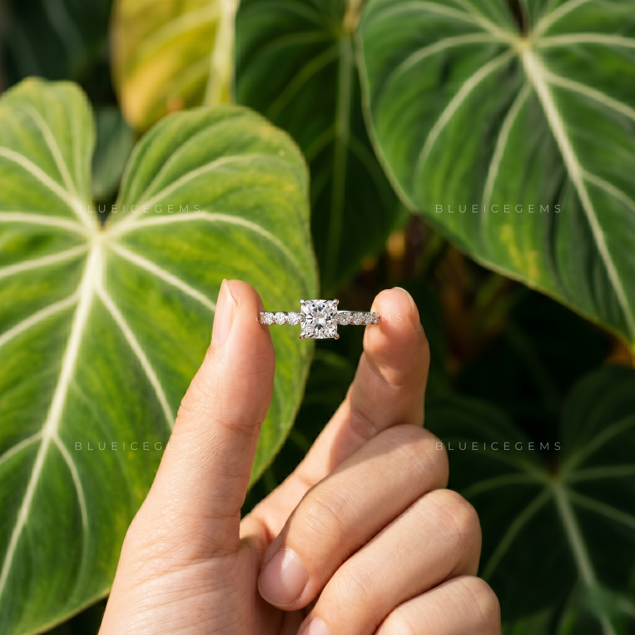 Elegance Cushion Cut Diamond Solitaire Ring with Side Accents