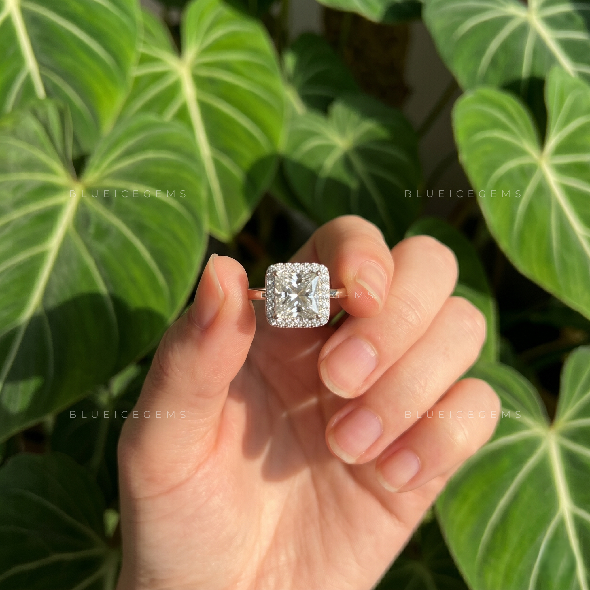 Radiant Royalty Princess Cut Square Halo Engagement Ring
