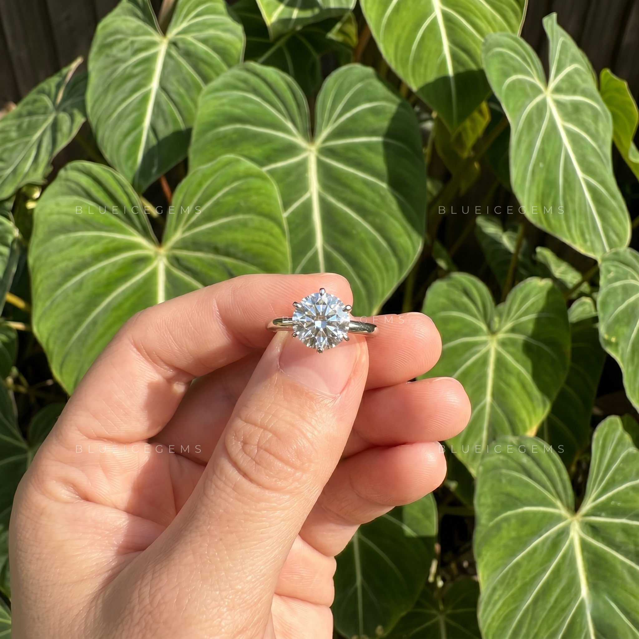 Pure Splendor Classic Six Prong Round Cut Solitaire Engagement Ring