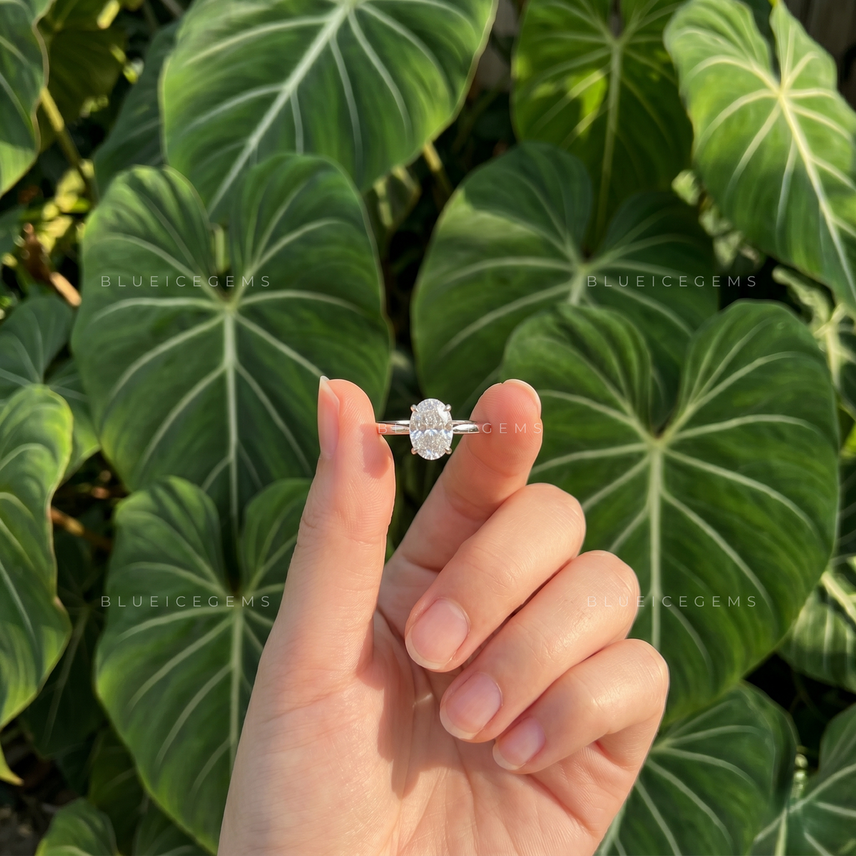 Radiant Oval Brilliant Cut Solitaire Engagement Ring