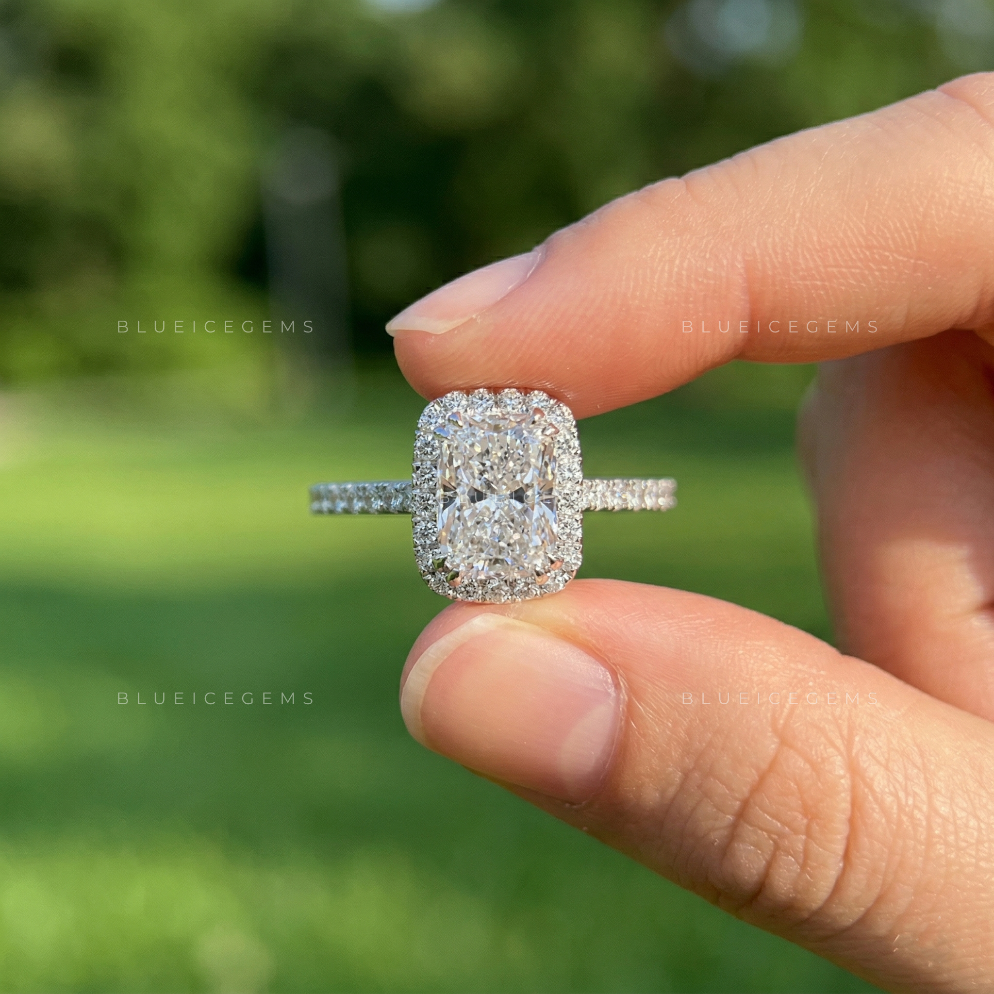 Velvet Radiance Cushion Cut Pavé Engagement Ring