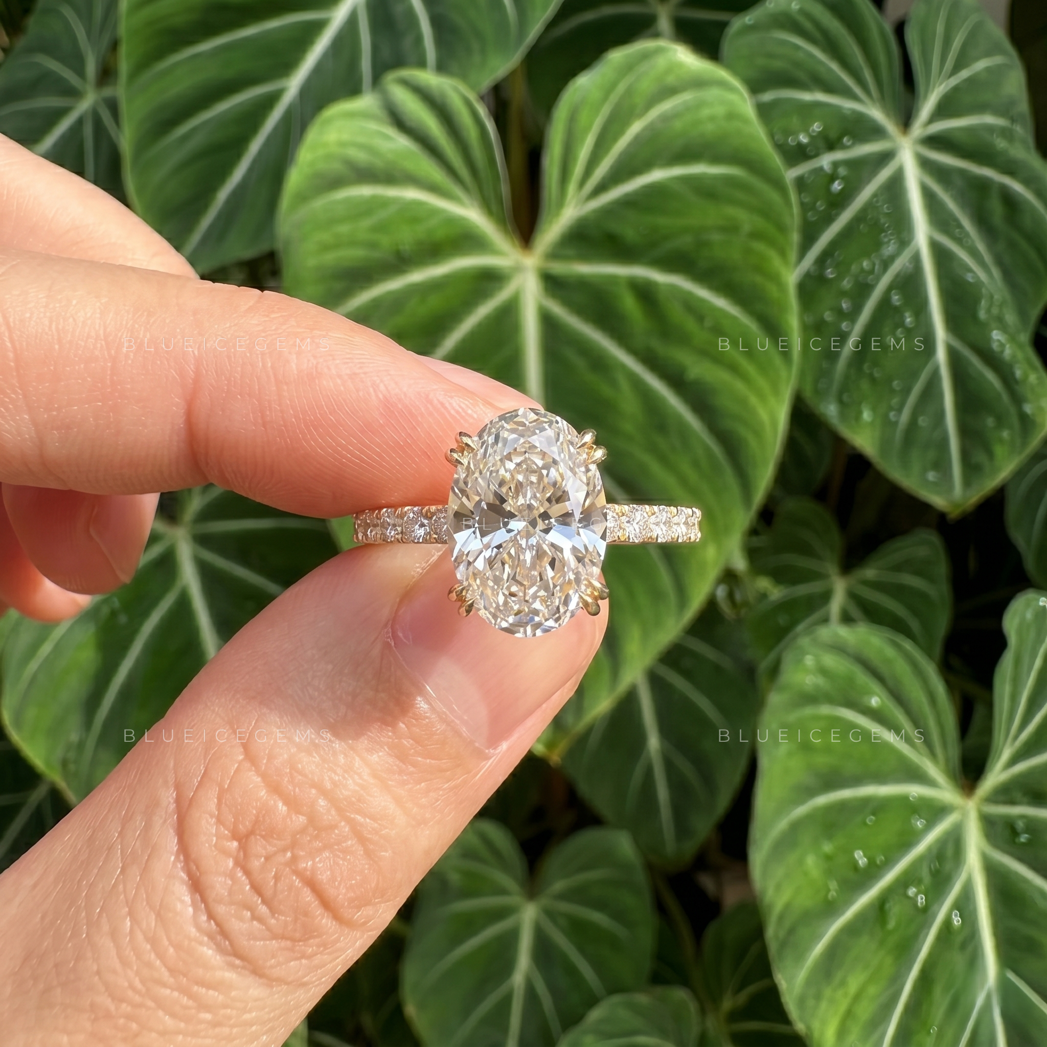 Radiant Opulence Oval Cut Double Claw Hidden Halo Engagement Ring