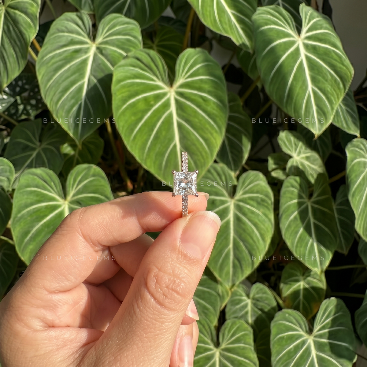 Regal Splendor Princess Cut Pave Engagement Ring