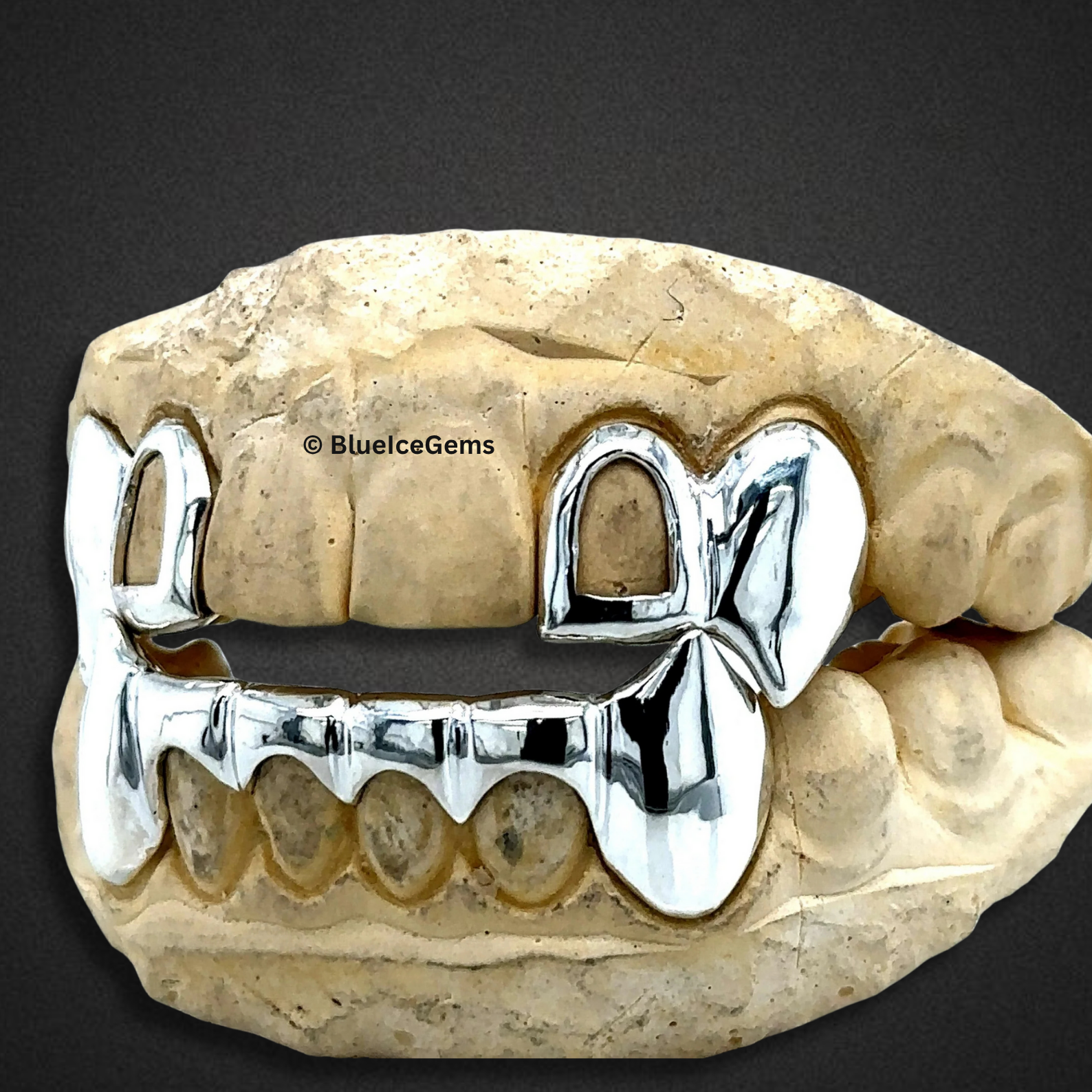 Silver Gate Bridge Grillz