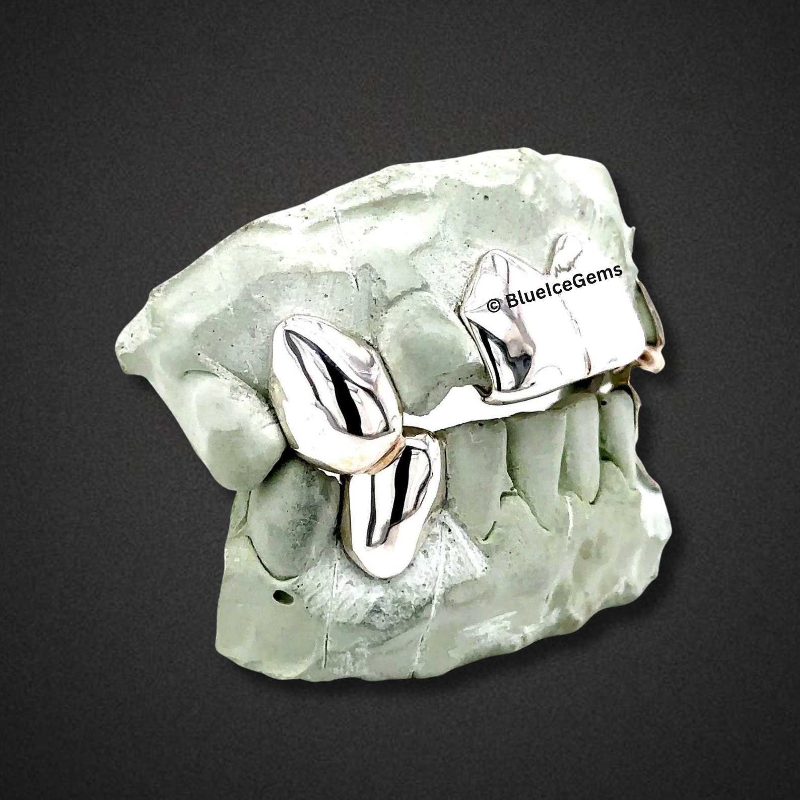 Glacier Fang Grillz