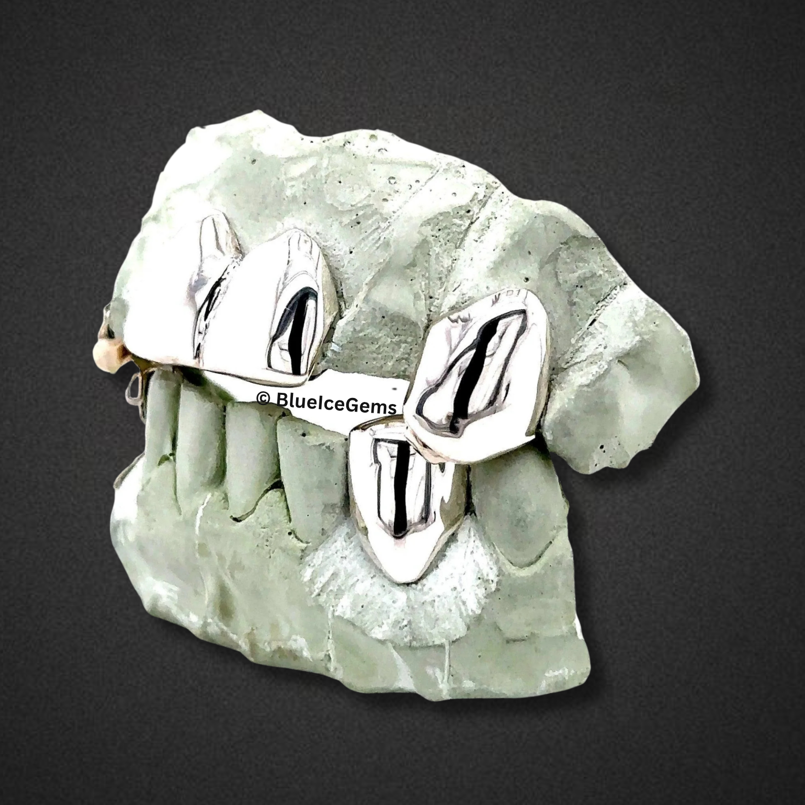 Glacier Fang Grillz