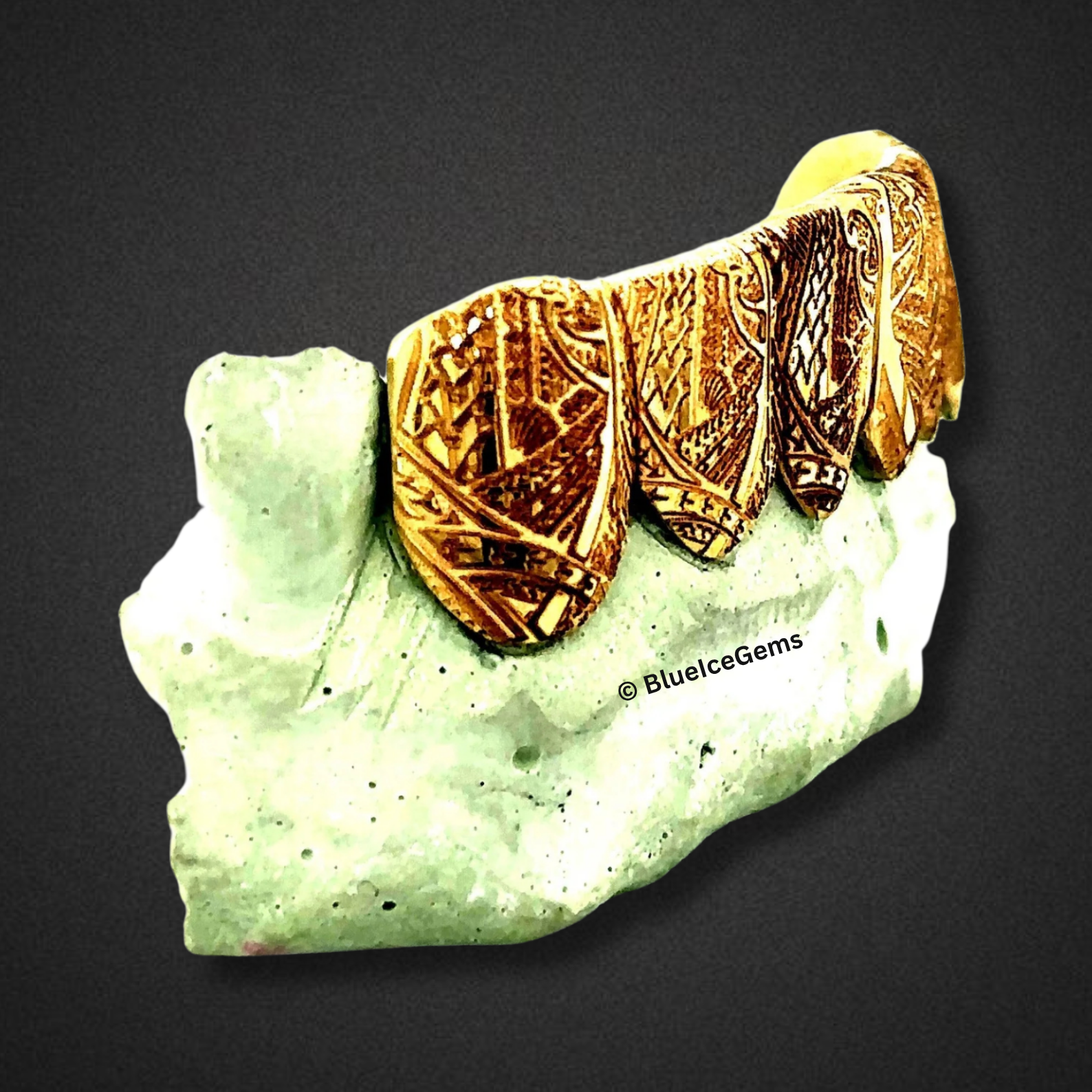 Tribal Crest Engraved Grillz