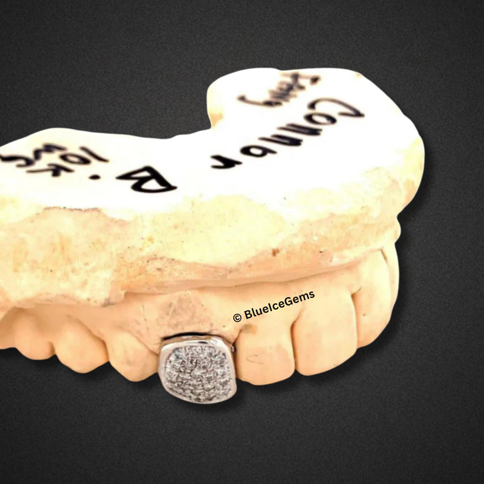 Single Ice Square Fang Grill