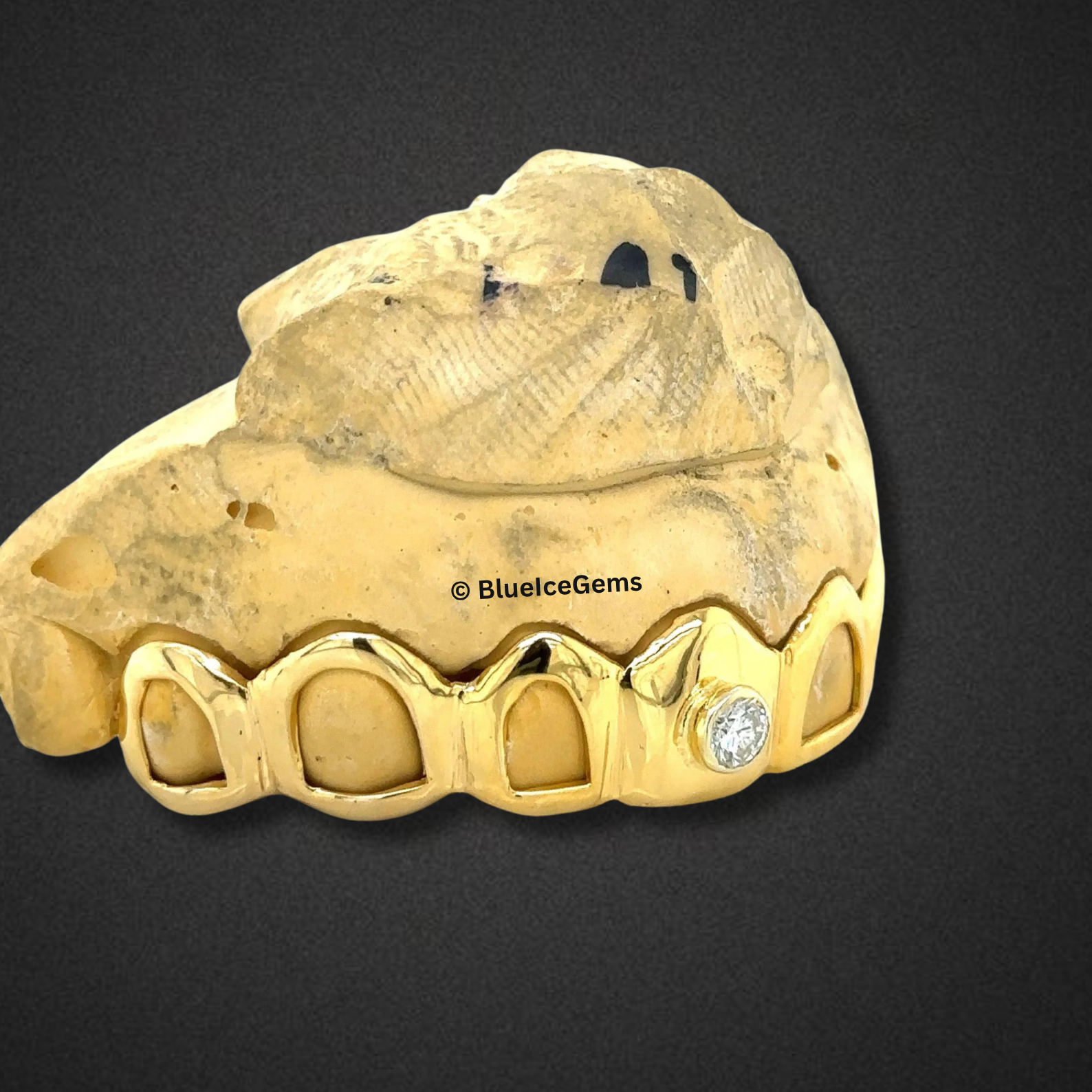 Crown Bezel Diamond Grillz