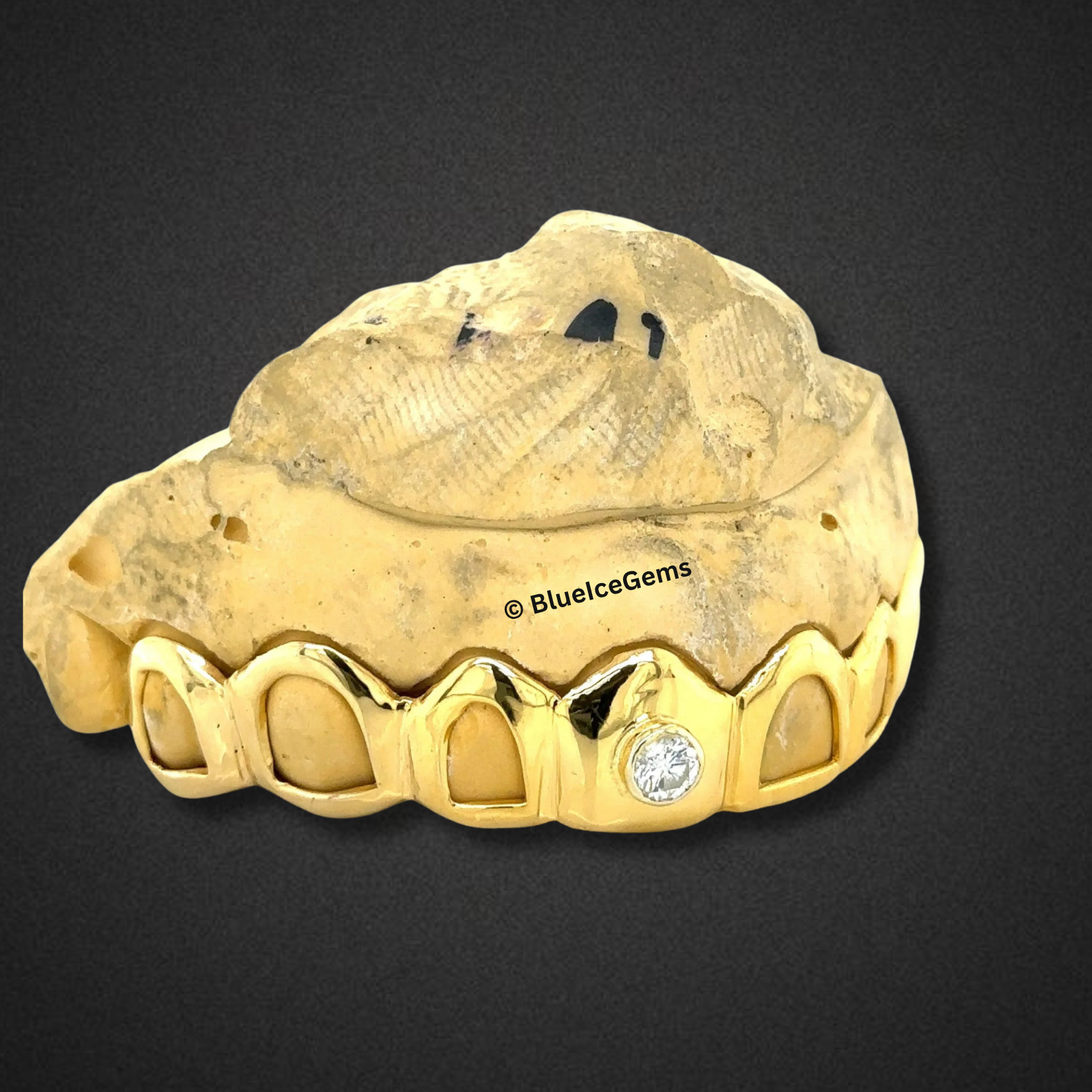 Crown Bezel Diamond Grillz