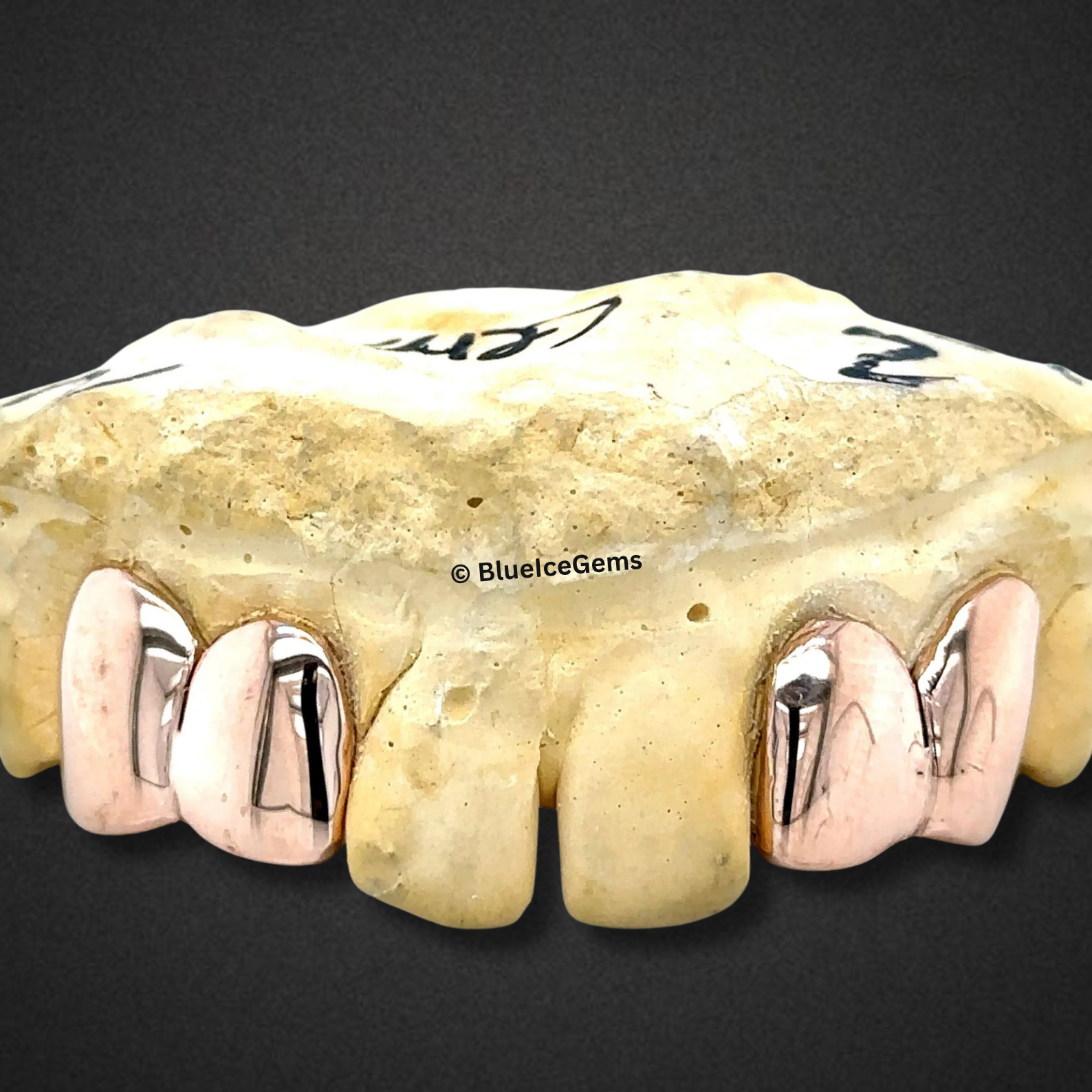 The "Icy Fang" Grillz