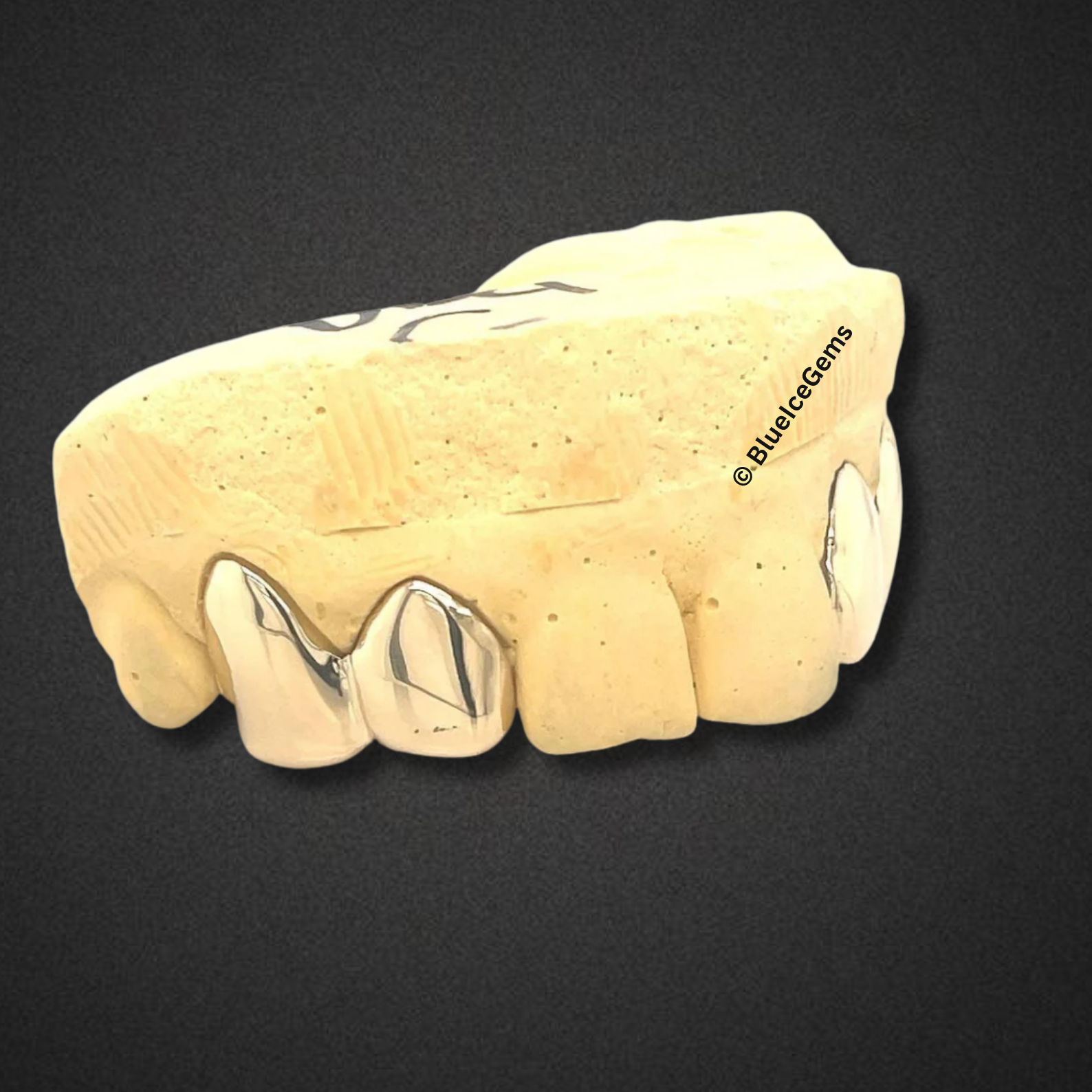The "Icy Fang" Grillz