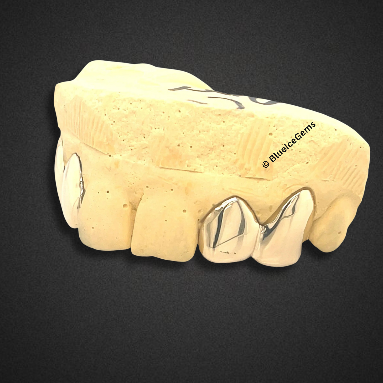 The "Icy Fang" Grillz