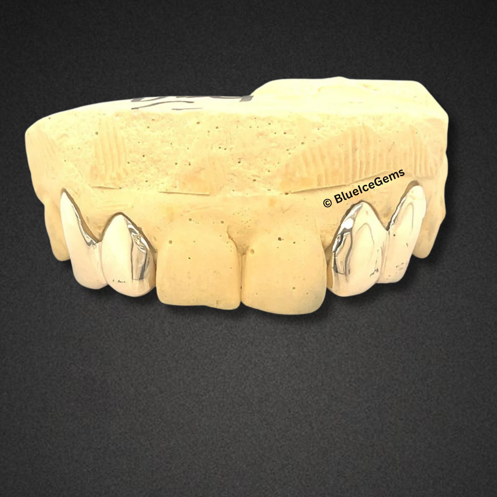 The "Icy Fang" Grillz