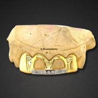"Money Bag" Gold and Diamond Grillz