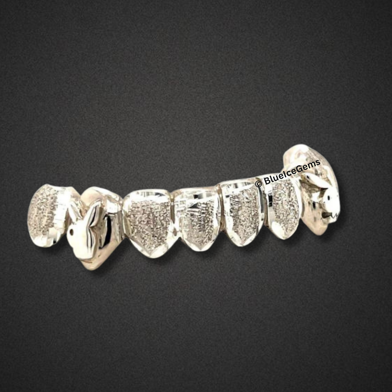 Frosted Skull Silver Grillz