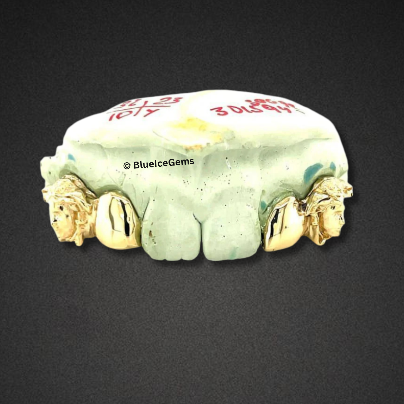 Lion Head Gold Grillz