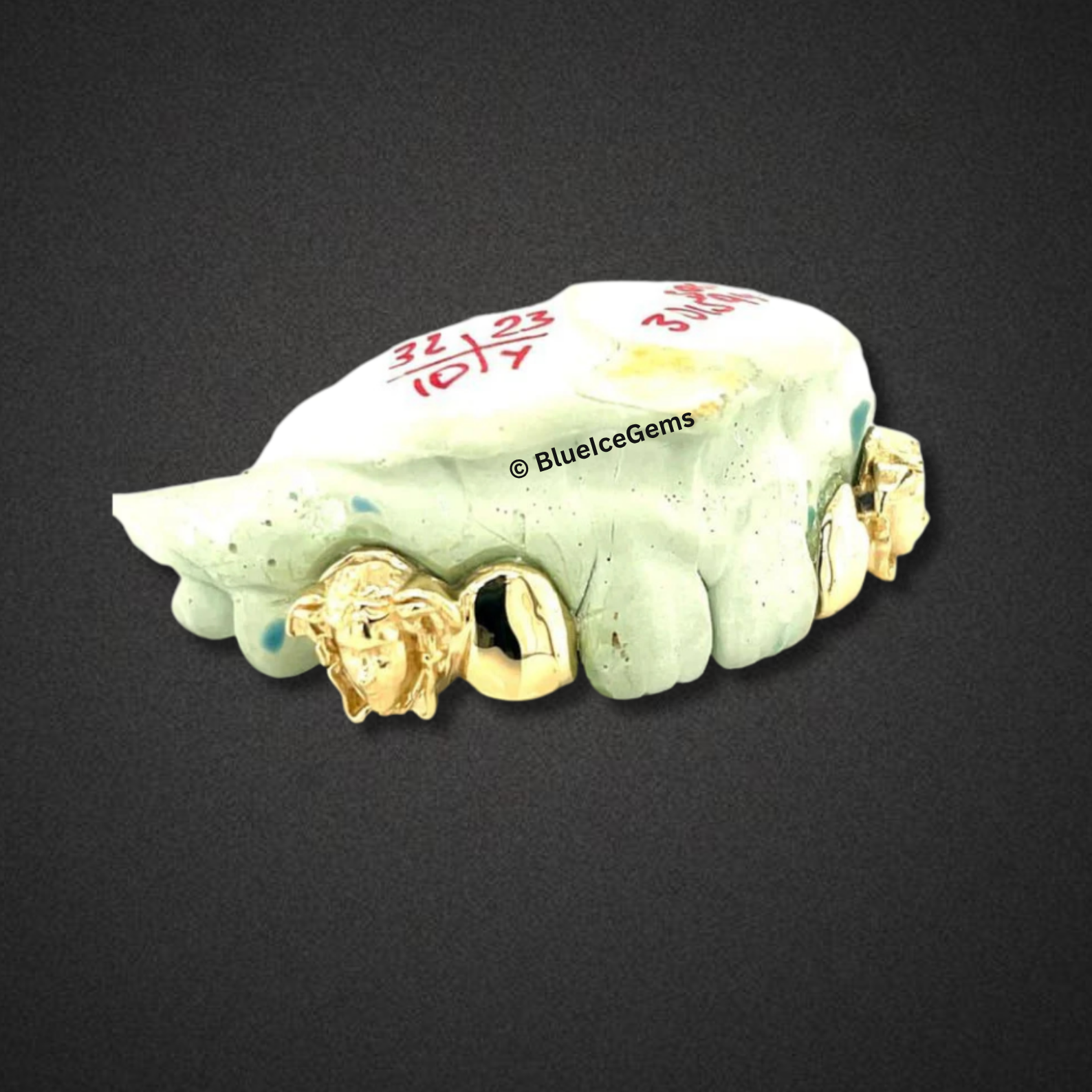 Lion Head Gold Grillz