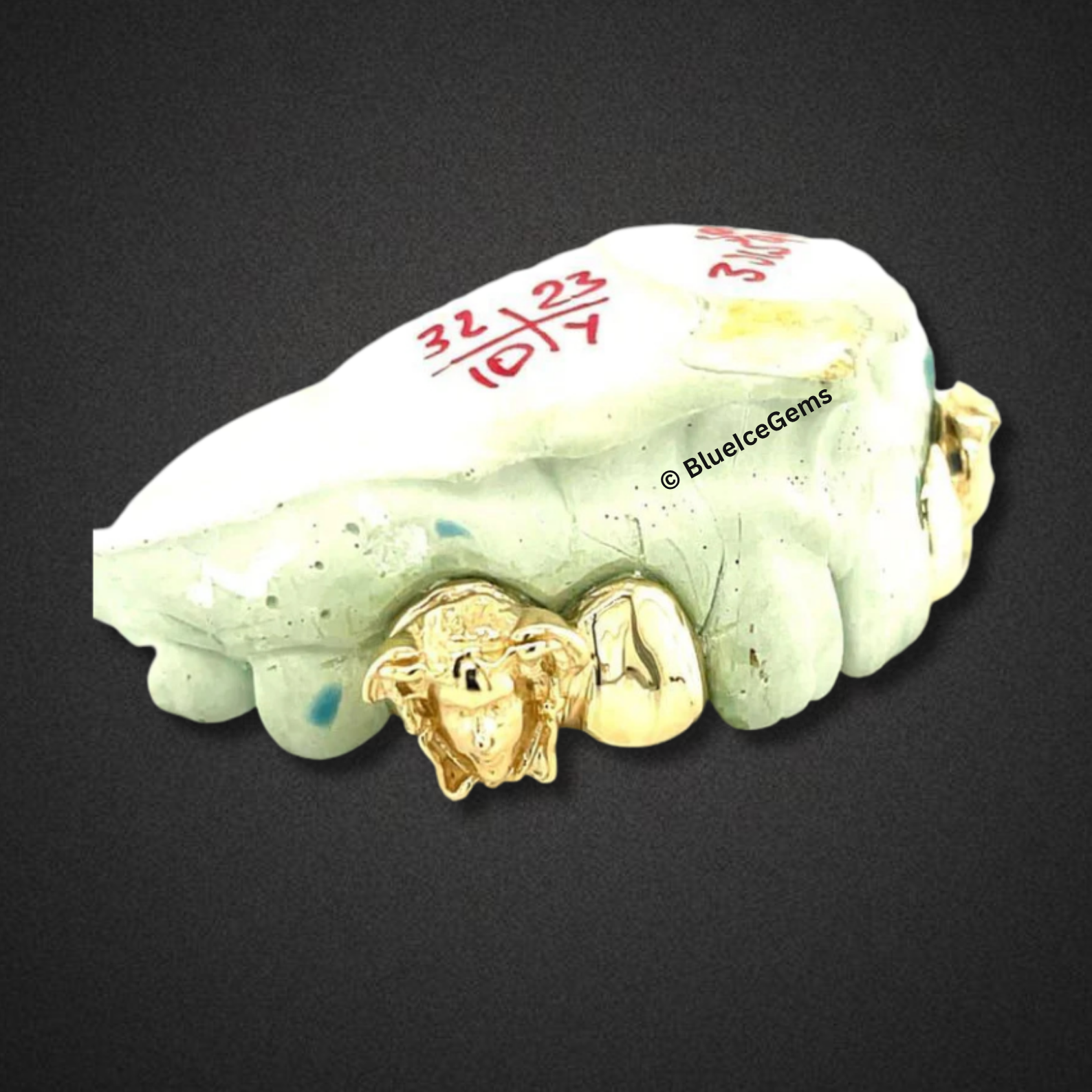 Lion Head Gold Grillz