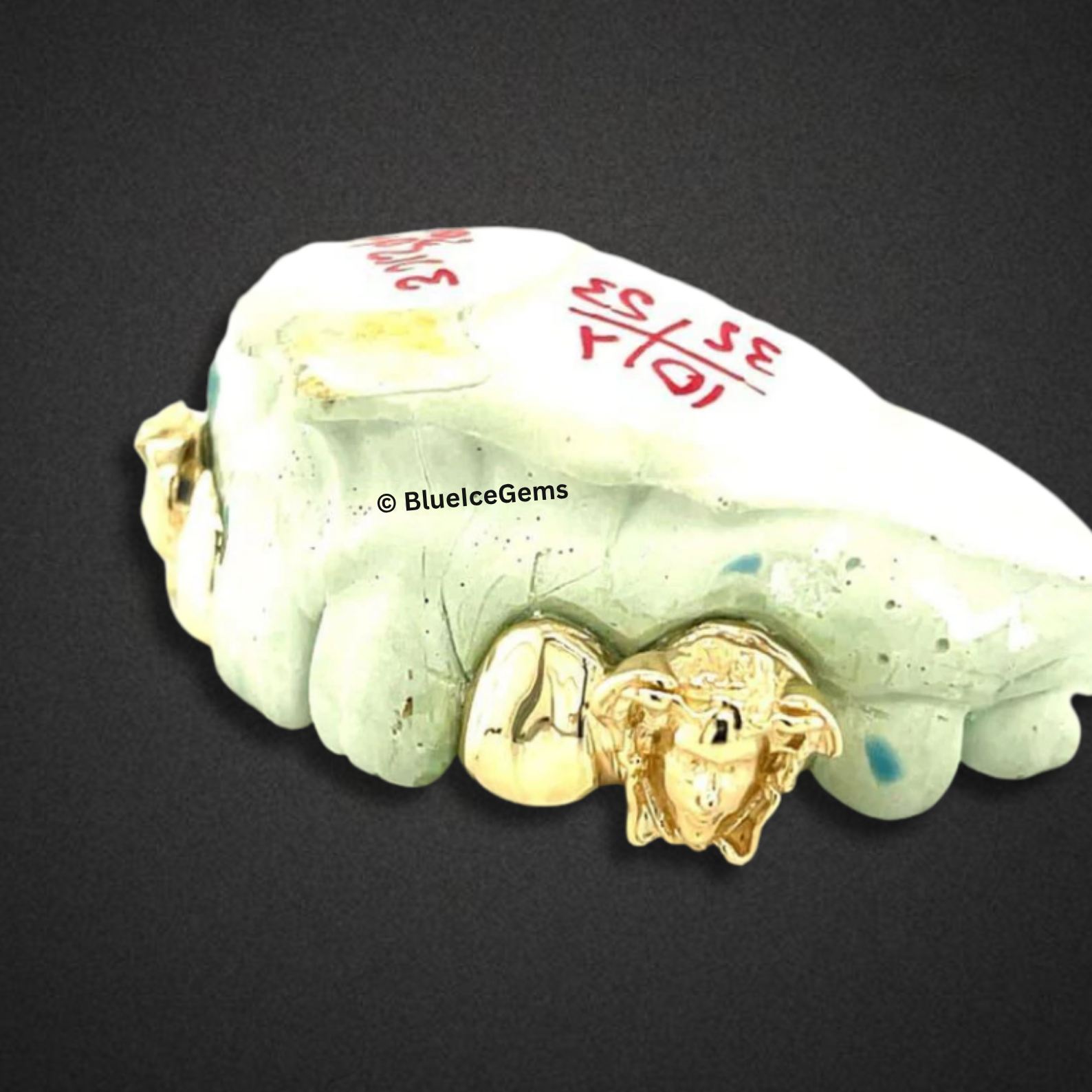 Lion Head Gold Grillz