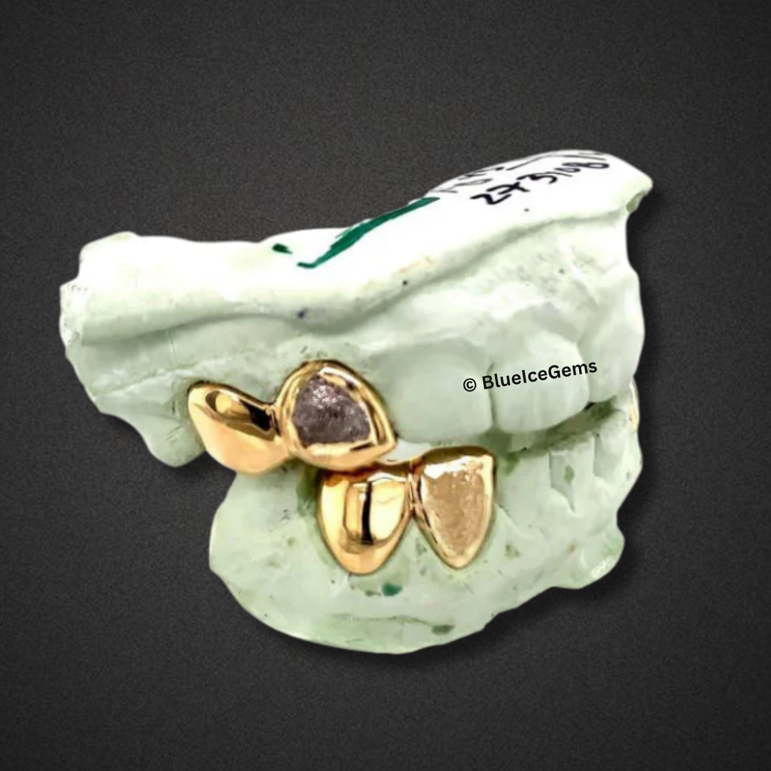 Dual-Tone Predator Fangs Grillz