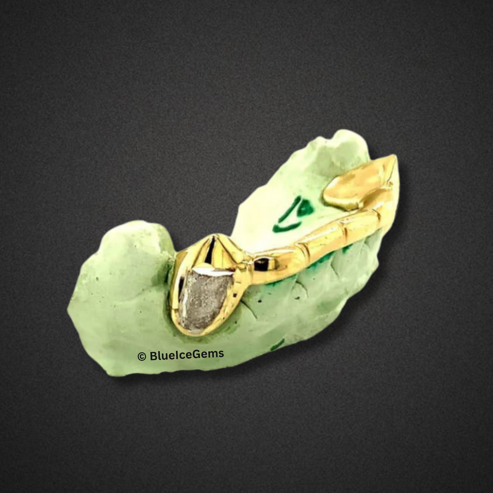 Slick Fang Bar Gold Grillz