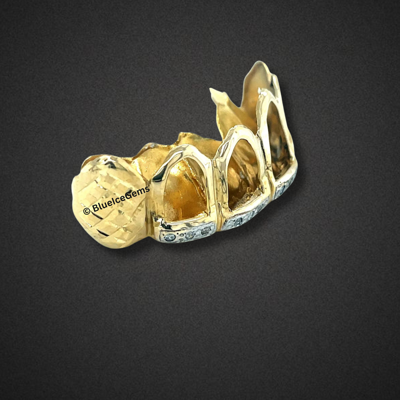 Crown Point Princess Gold Grillz