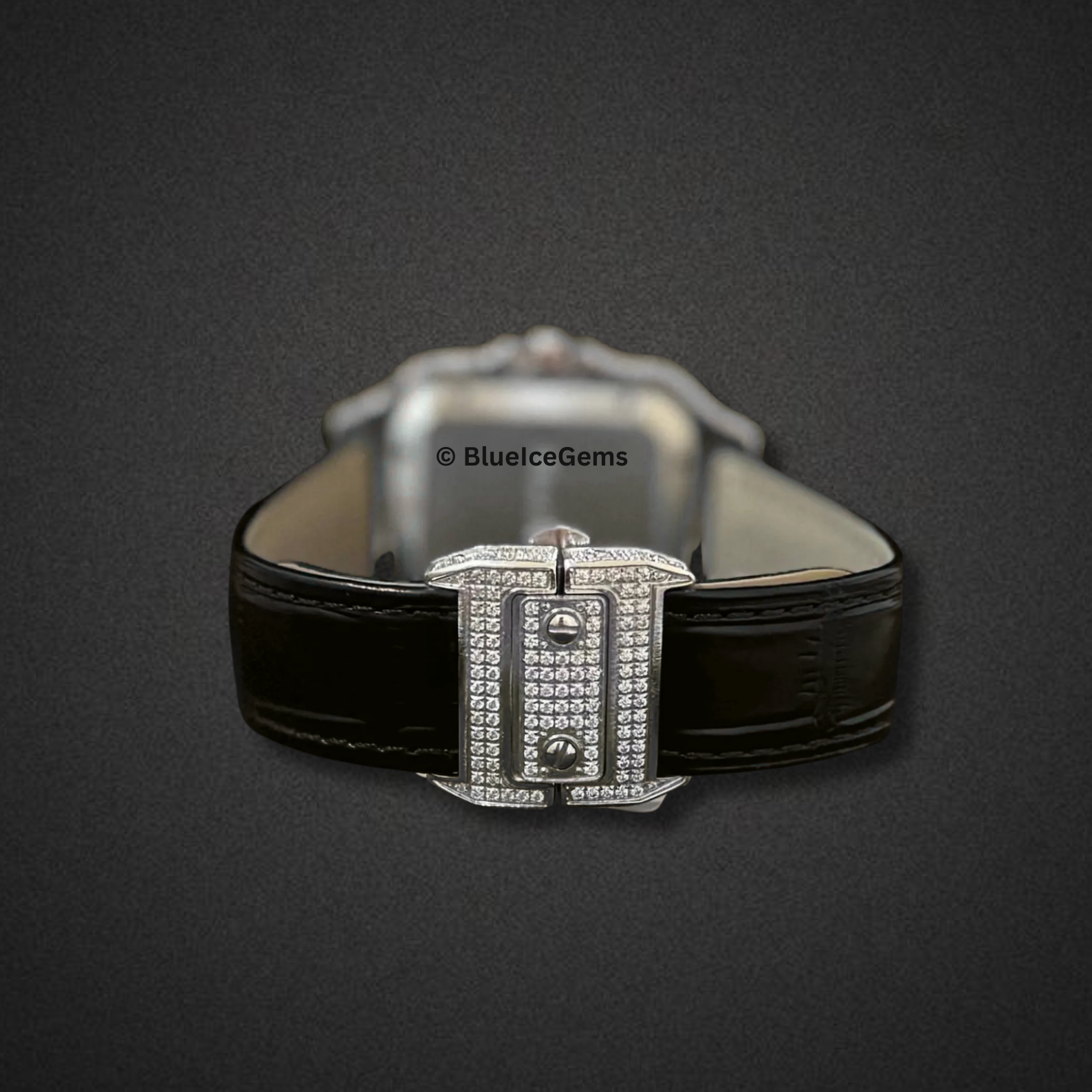 The "Icy Sentinel" Diamond Watch