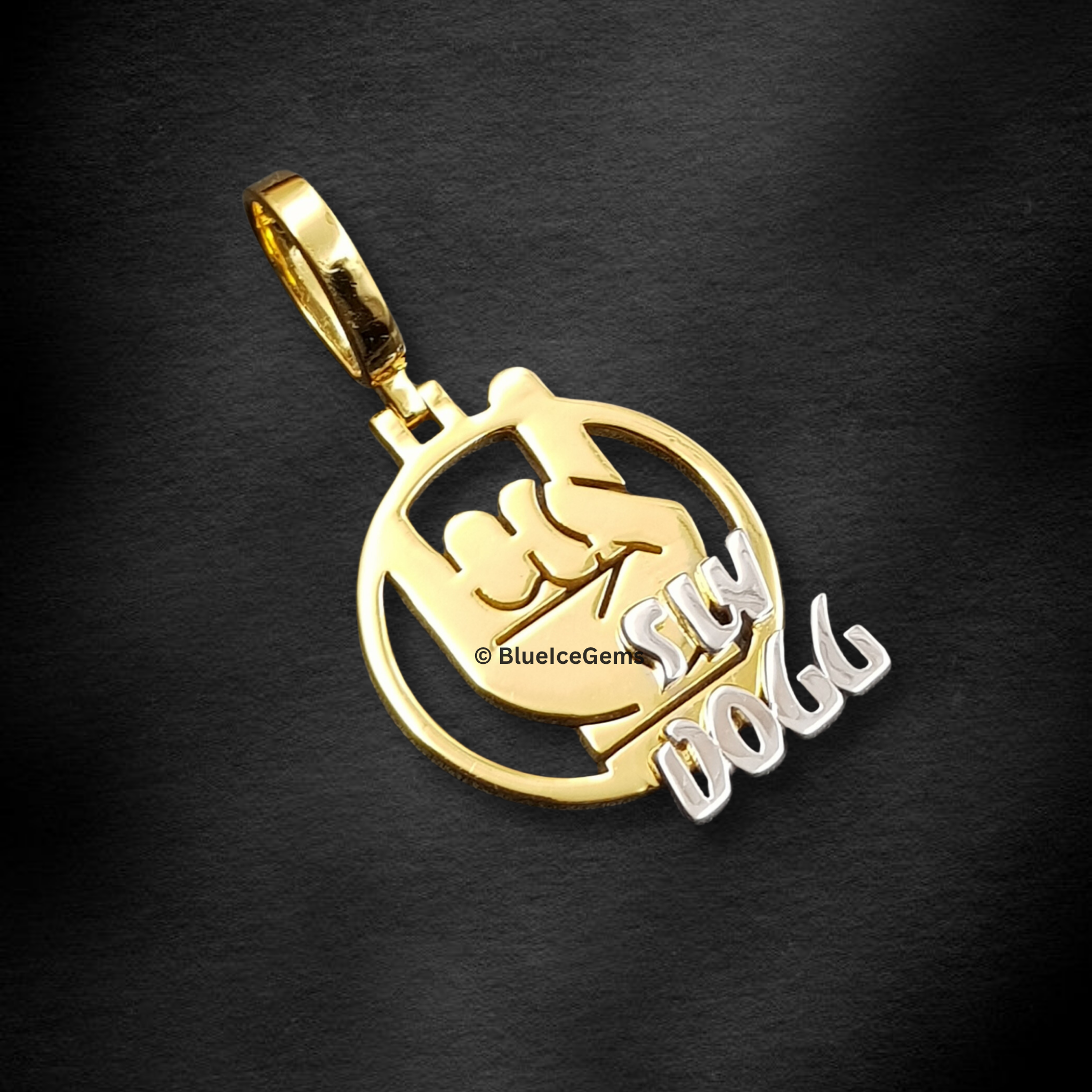 The "S W Dogg" Dual-Tone Gold Medallion Pendant