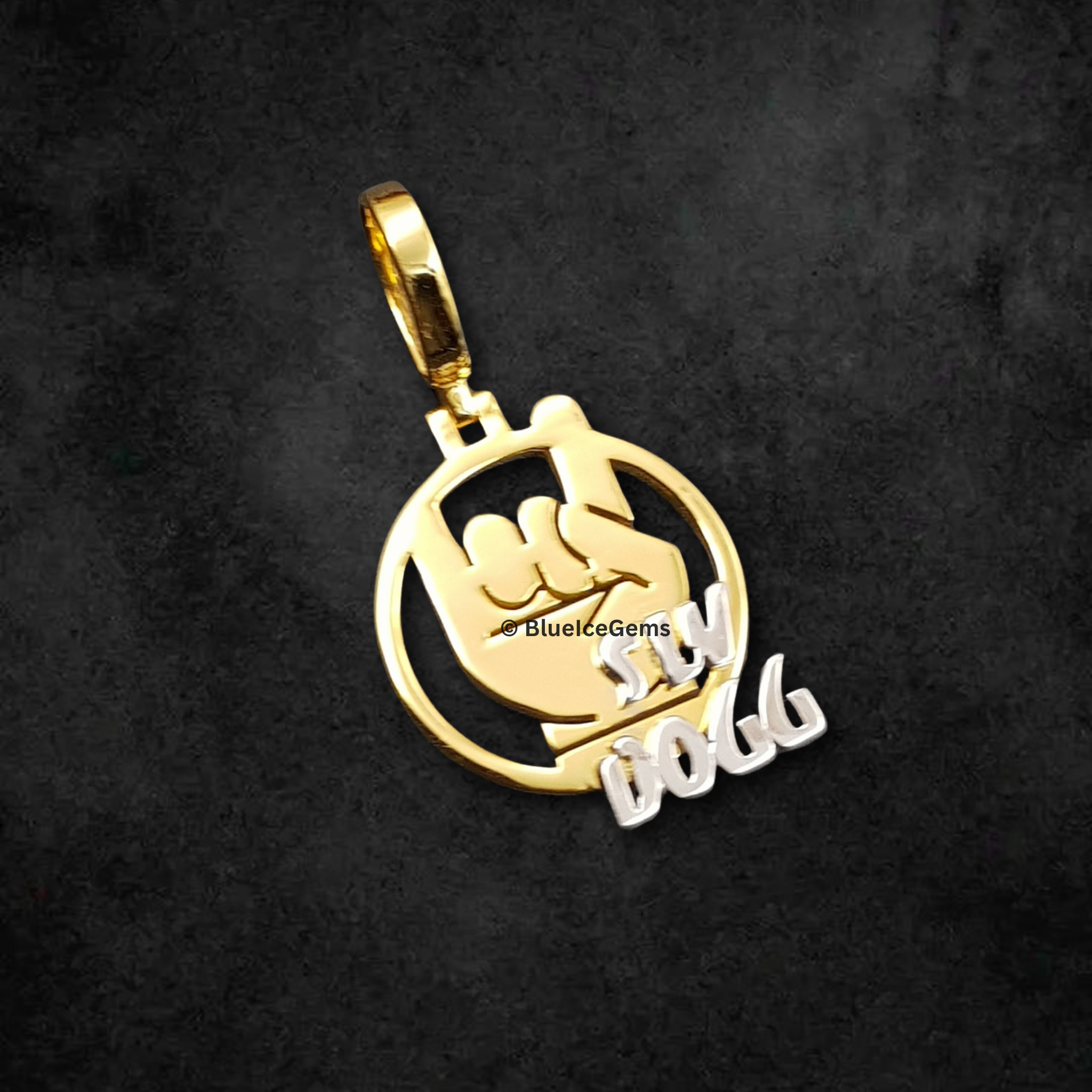 The "S W Dogg" Dual-Tone Gold Medallion Pendant
