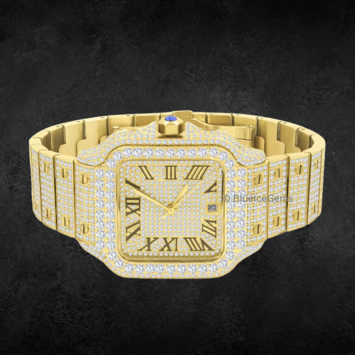 The "Icy Sentinel" Diamond Watch