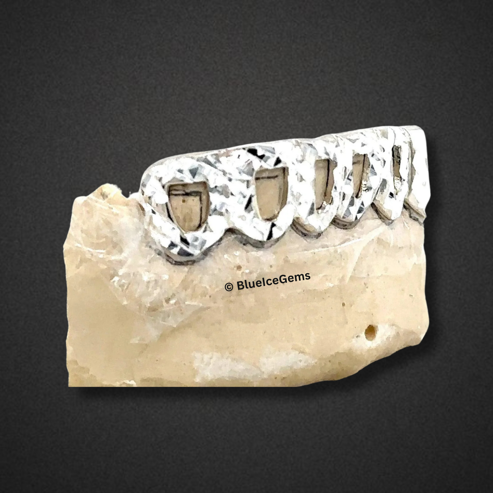 Diamond-Cut Flash Grillz
