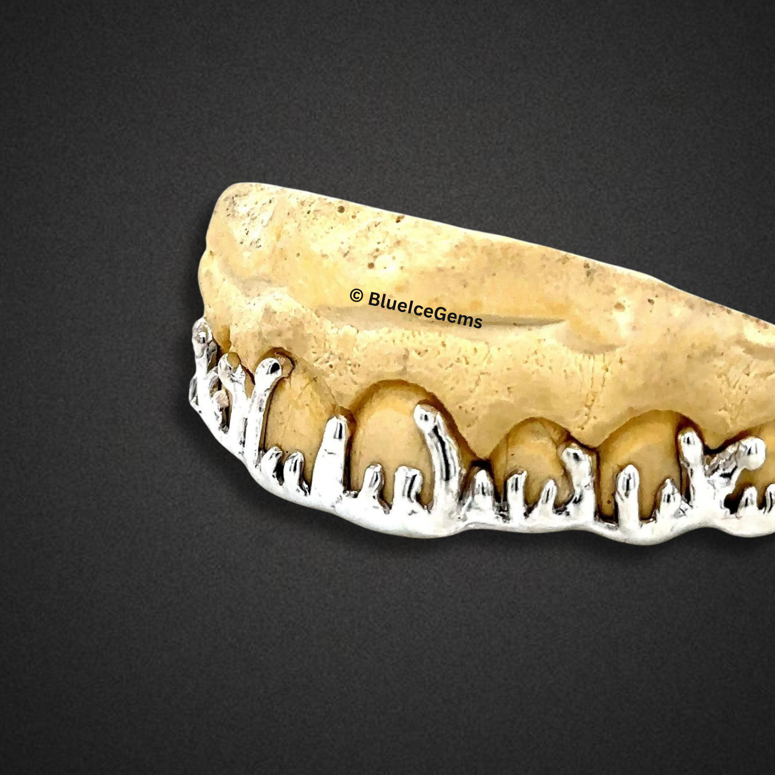 Liquid Ice Drip Grillz