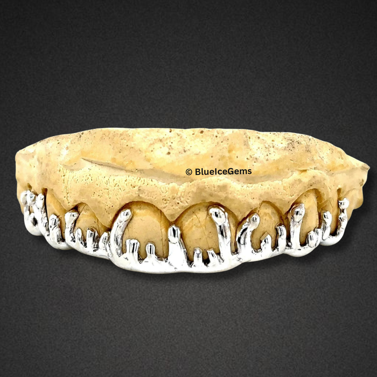 Liquid Ice Drip Grillz