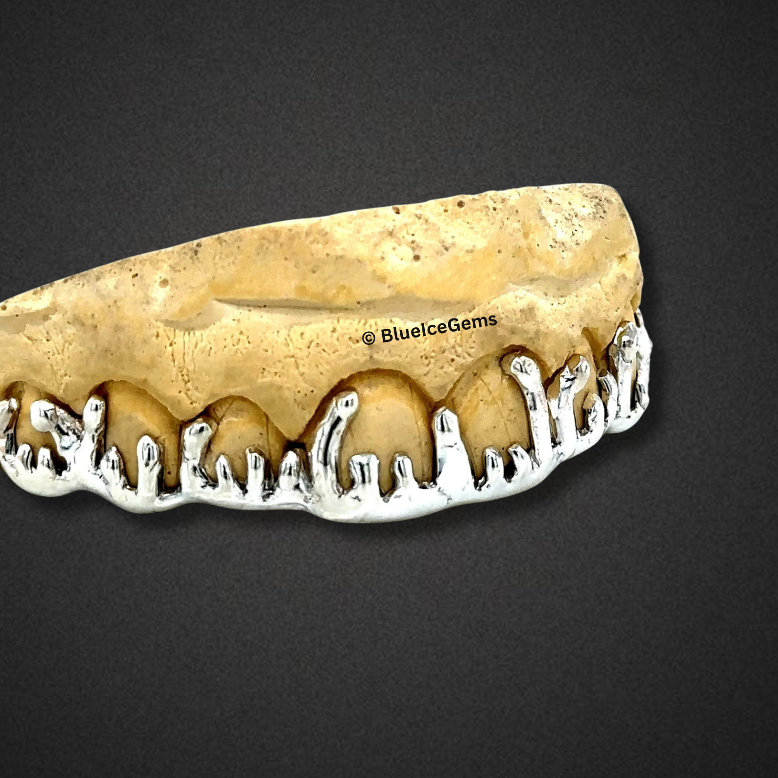 Liquid Ice Drip Grillz